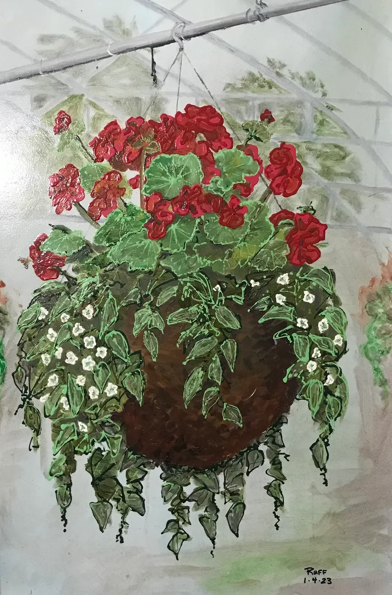 Geraniums
