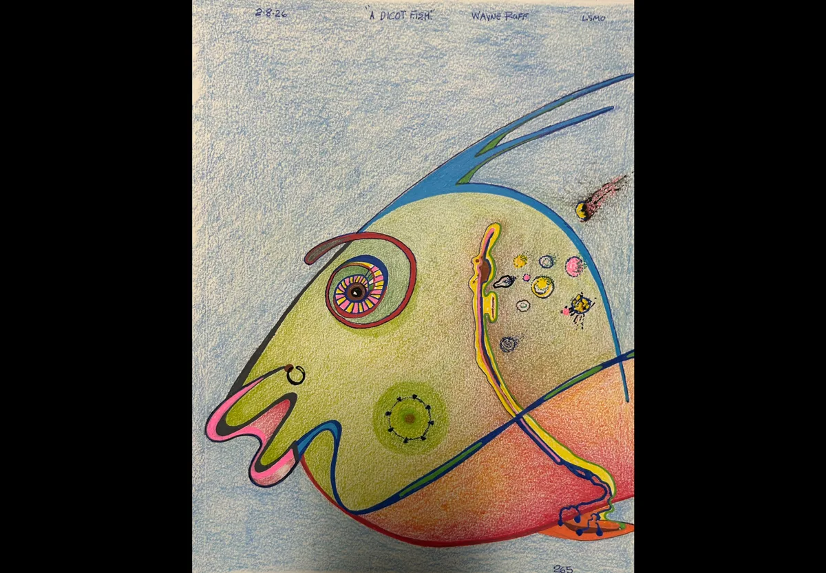 Dicot fish